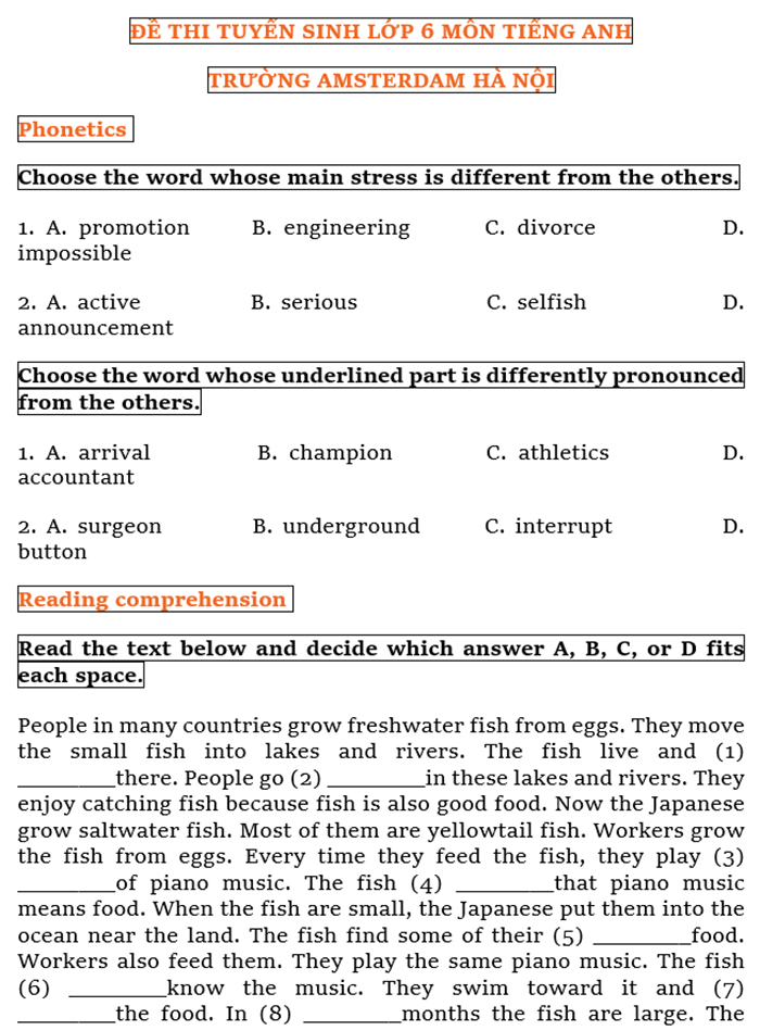 Đề thi tiếng Anh vào lớp 6 chuyên Amsterdam Hà Nội